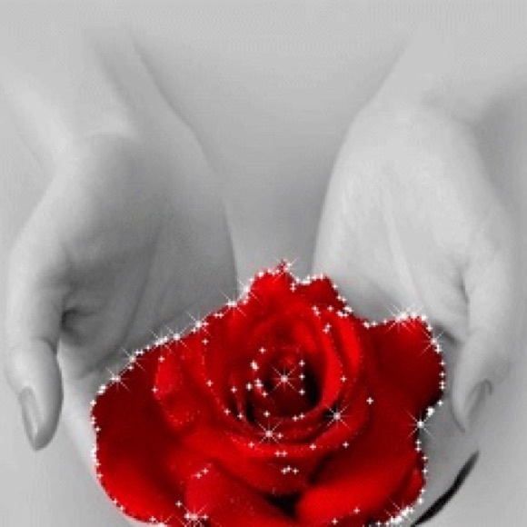 Meet your Posher, Gloria - Picture 1 of 1